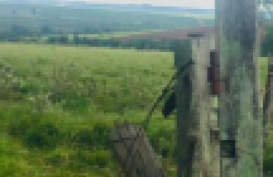 Sítio para venda em Avaré